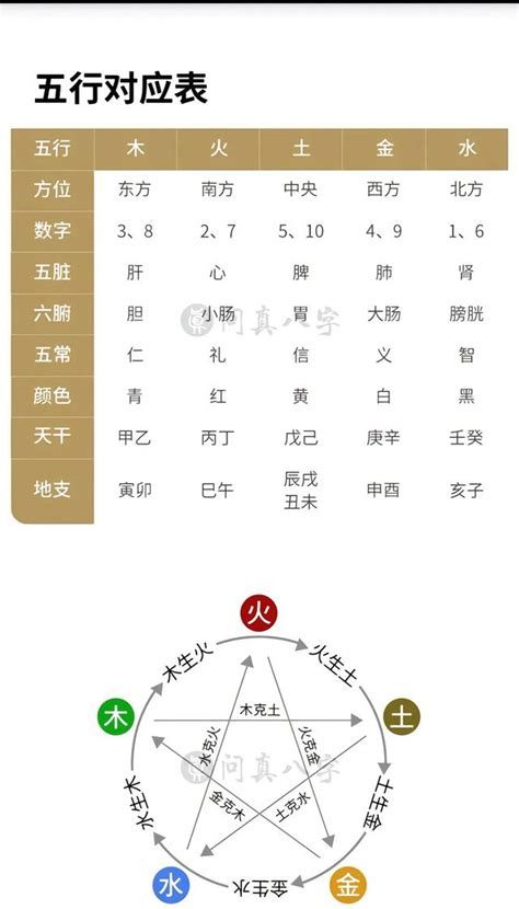 黃玉五行|【黃玉五行】究竟黃玉五行是什麼屬性？揭開三界五行佩戴秘辛